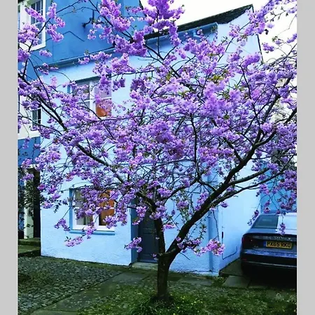 Albion Cottage Cockermouth Exterior foto